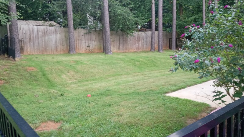 Building Photo - 582 Cotton Field Rd