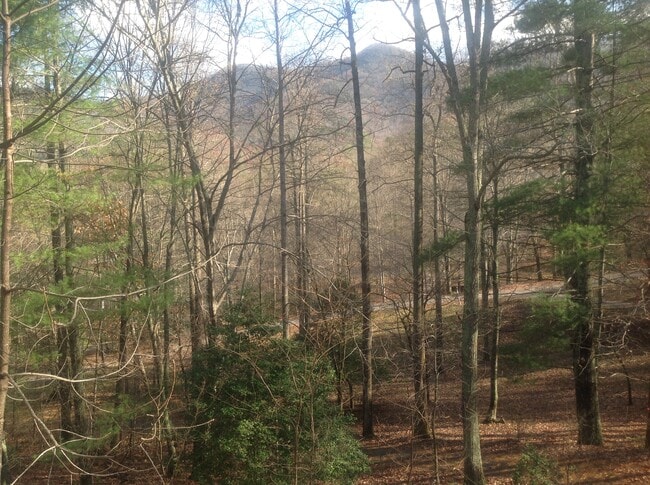 Building Photo - 546 Trackrock Camp Rd