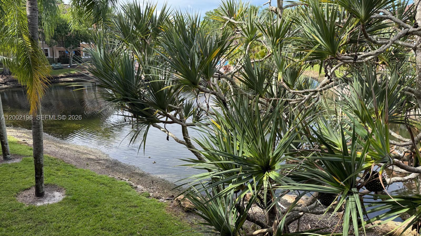 Building Photo - 8871 Wiles Rd