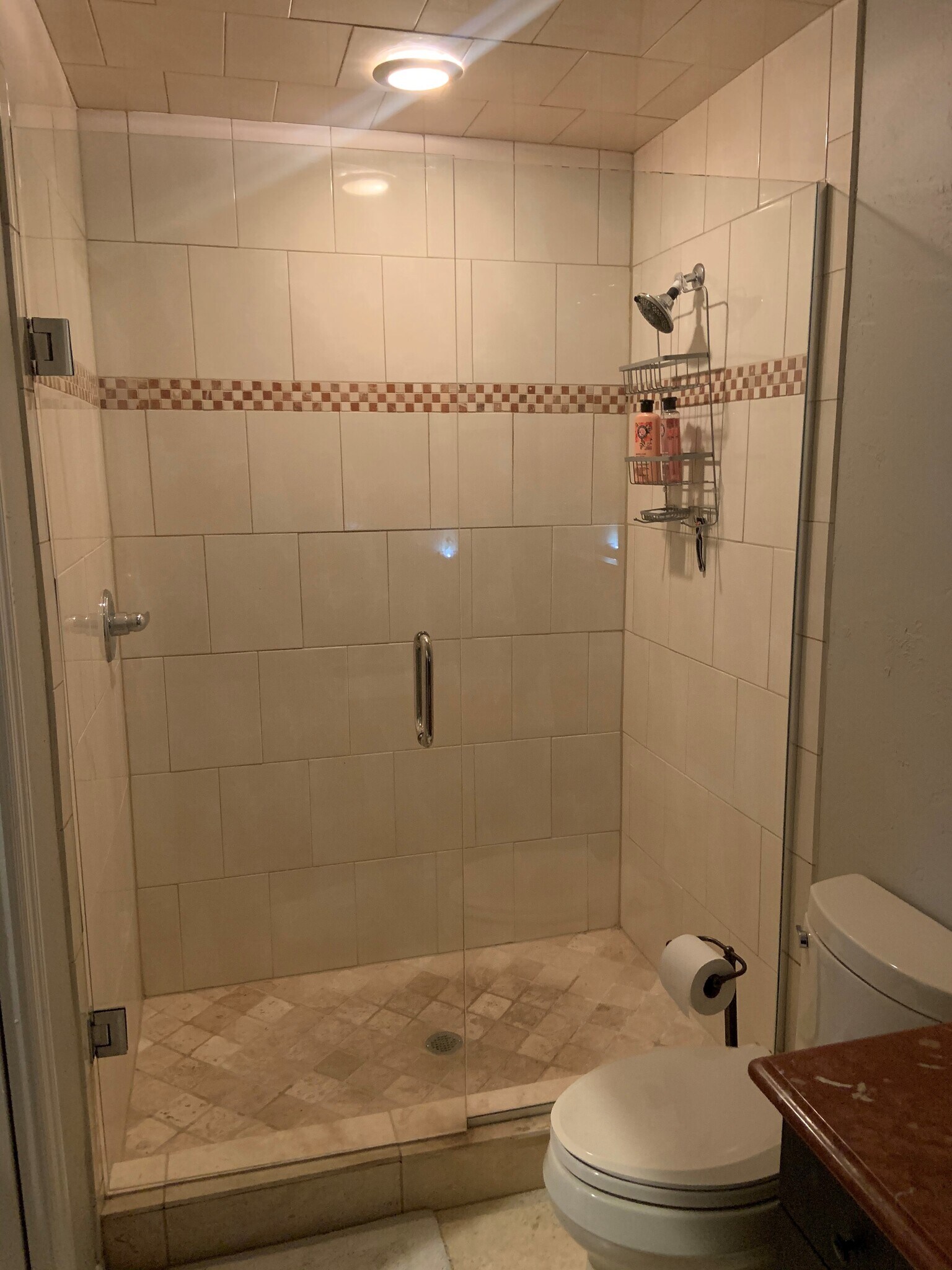Master Shower - 21361 Lancaster Run