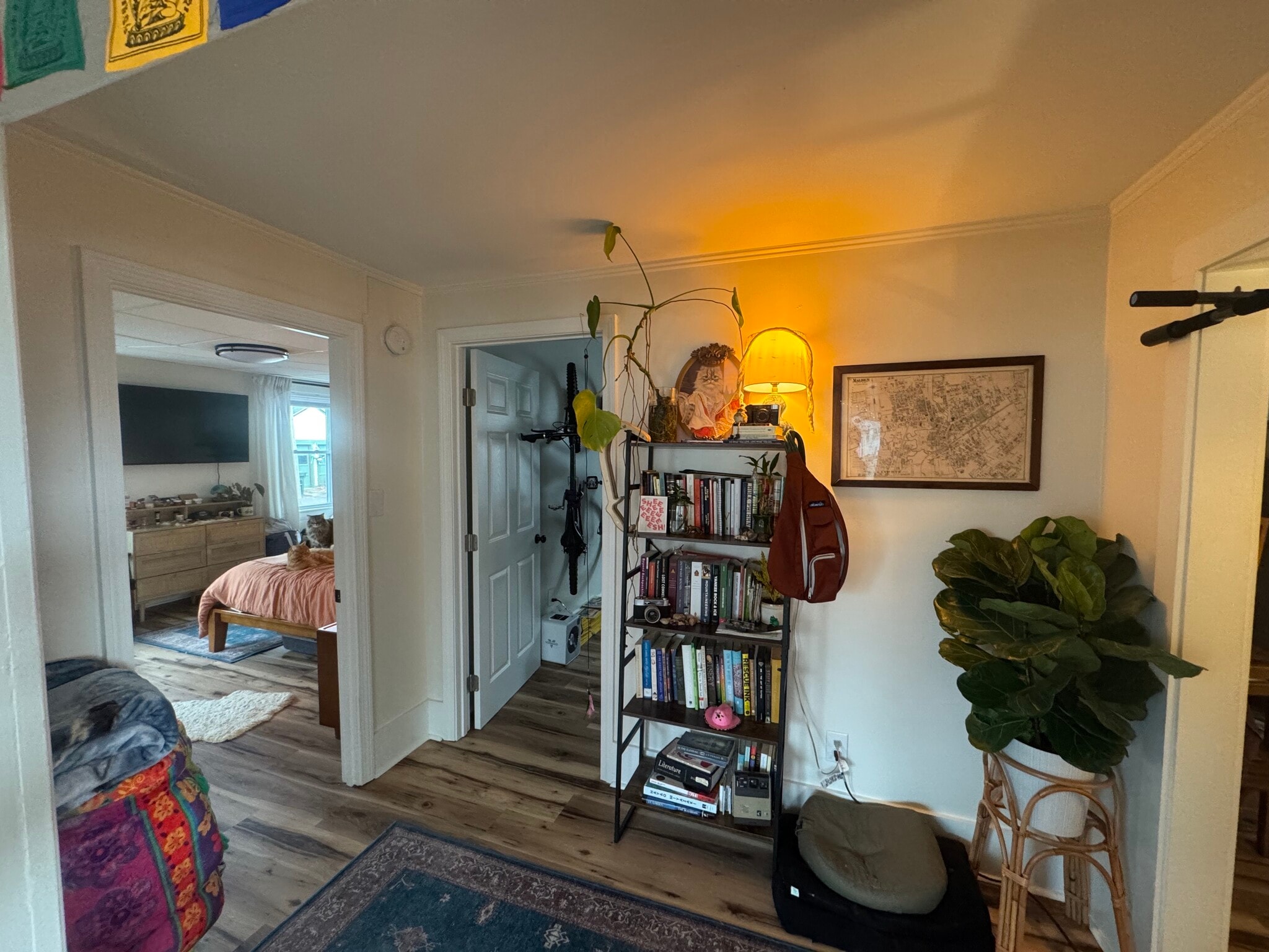 Hallway - 4 Palmer St