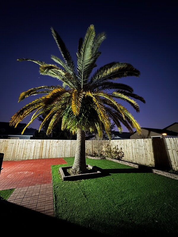 Building Photo - 2522 Albaca Dr