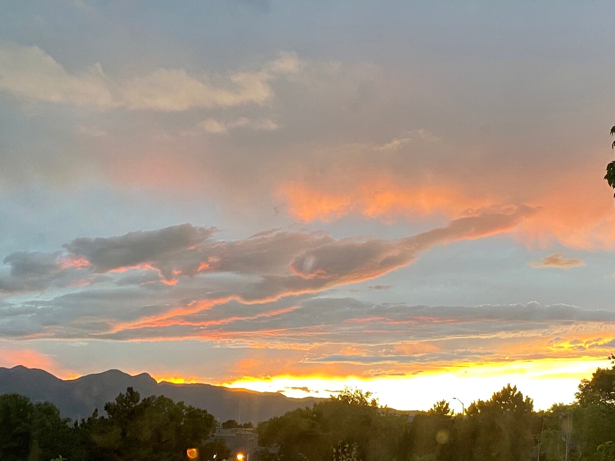 Building Photo - 2130 Silkwood Dr