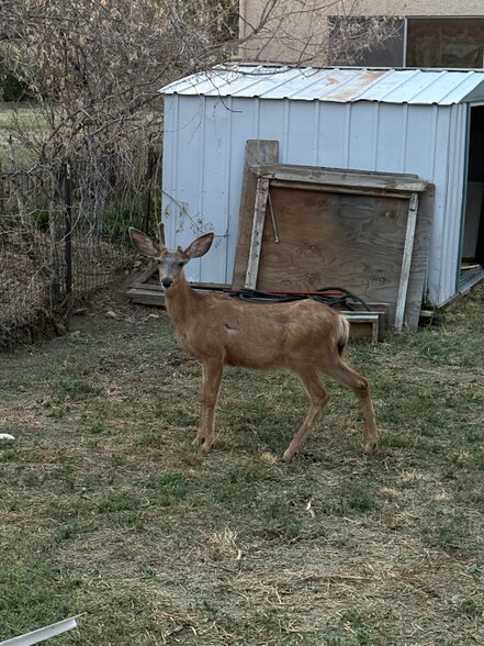 Building Photo - 205 N Hendren Ave