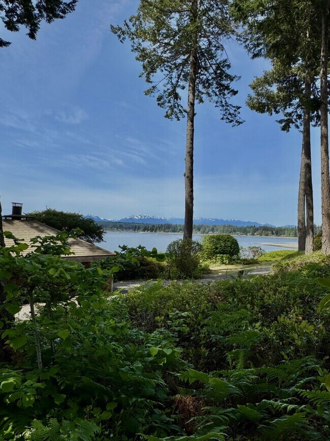 Building Photo - Stunning completely remodeled waterfront P...