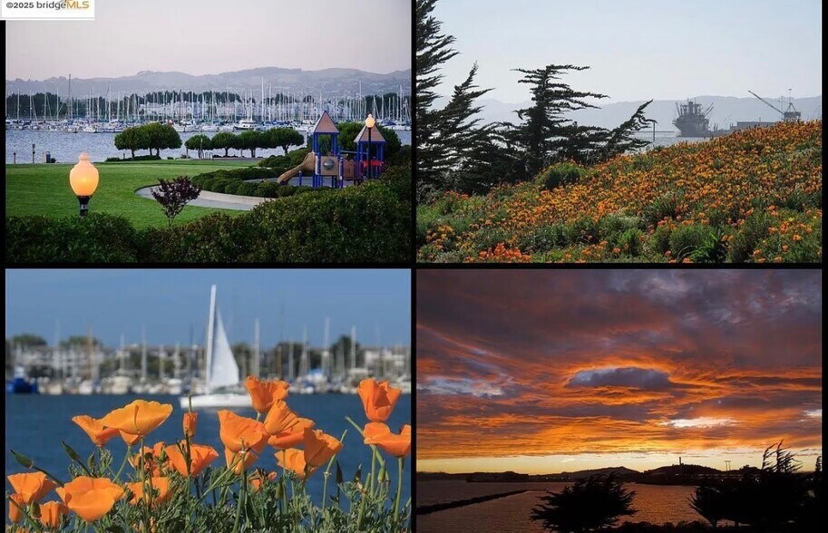 Building Photo - 15 Shoreline Ct