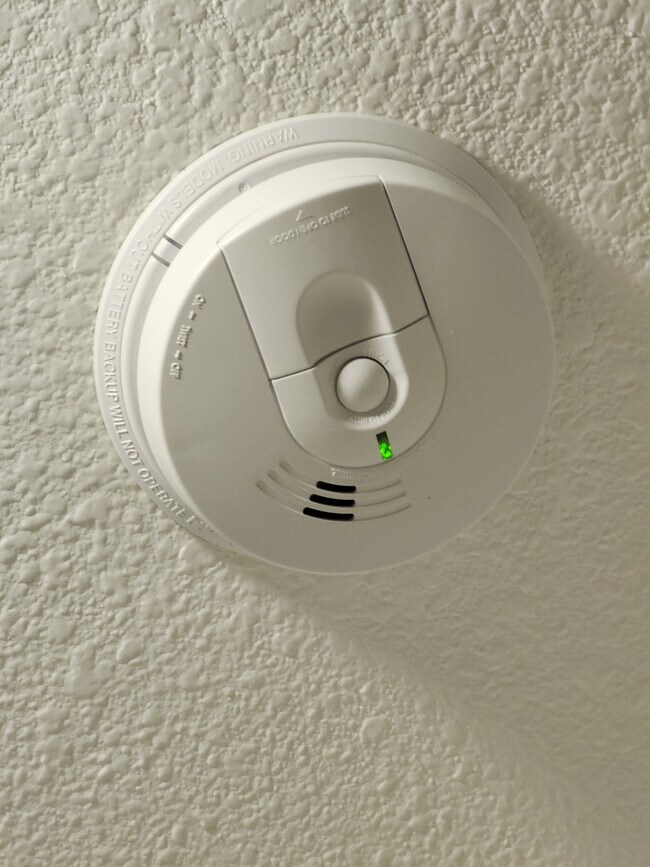 New Smoke Detectors - 929 Dusty Creek St