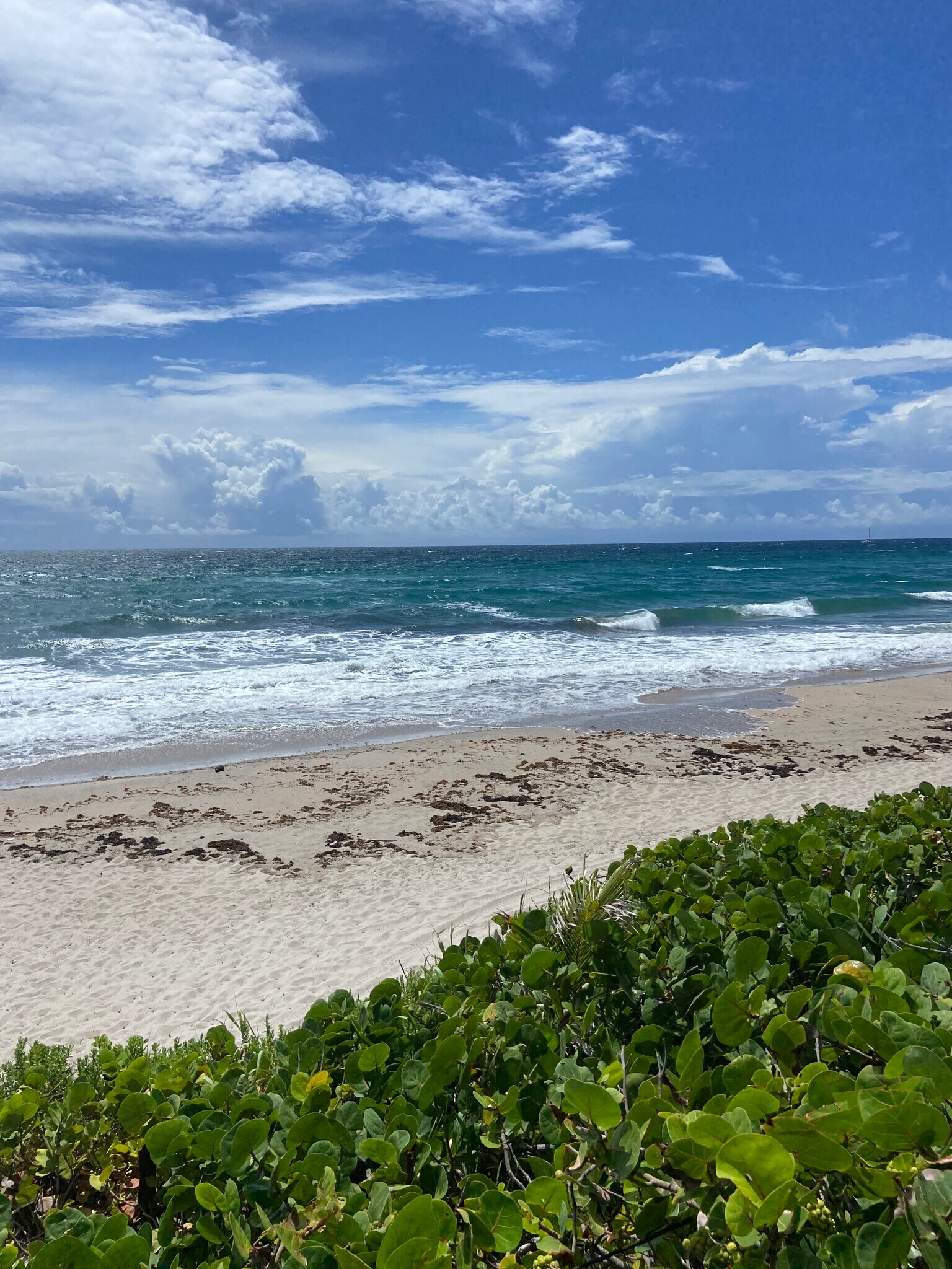 Building Photo - 700 Golden Beach Blvd