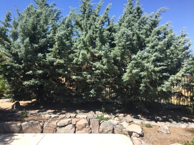 Building Photo - NW Reno Two Story - Beautiful Landscaping ...