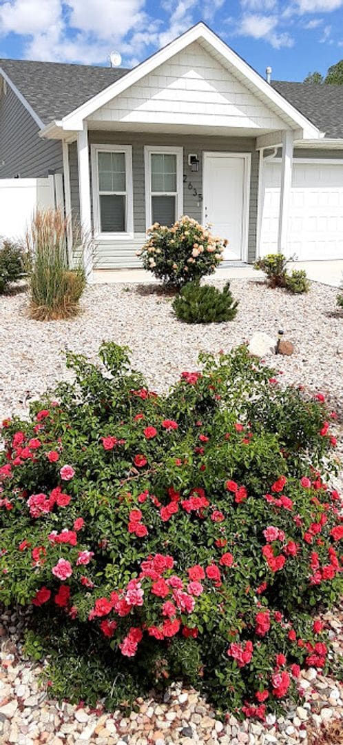 Building Photo - Single Level Twin Home, Gemini Meadows