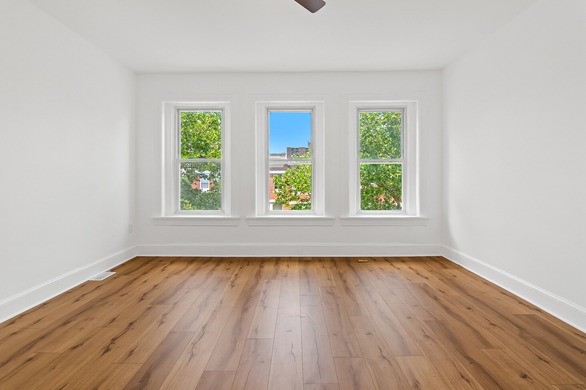 Building Photo - 813 Whitelock St