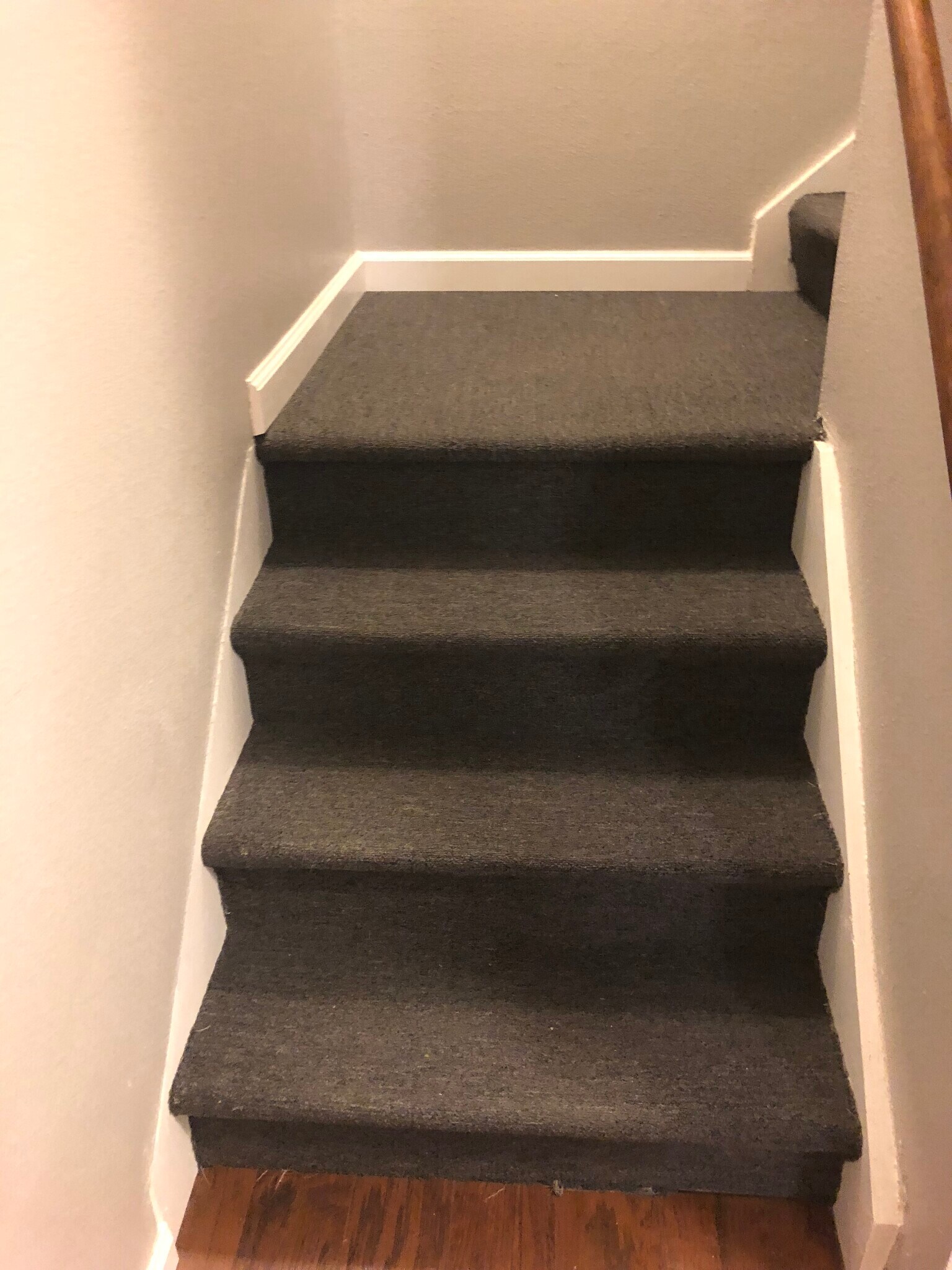 Staircase to Laundry/Garage - 422 Wright St