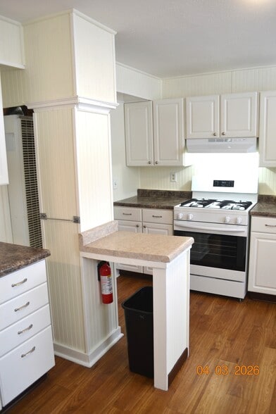 Updated kitchen flooring (2017), and new in 2026: total repainting, new gas range and range hood - 222 W Case St