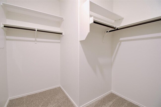 Building Photo - 2233 Forgetmenot Ln