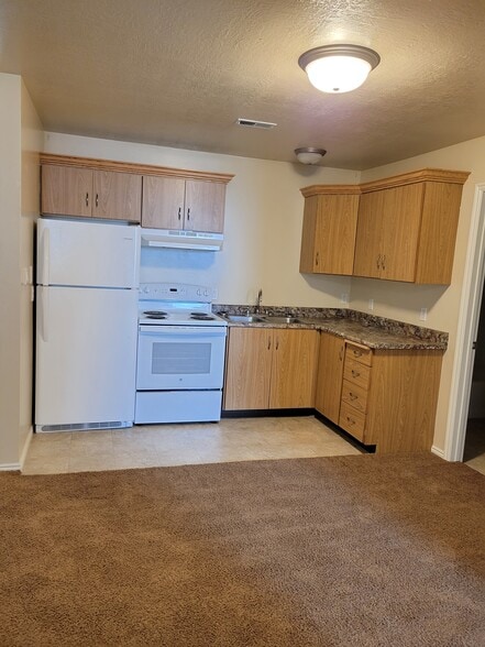 Building Photo - 215 E 100 N