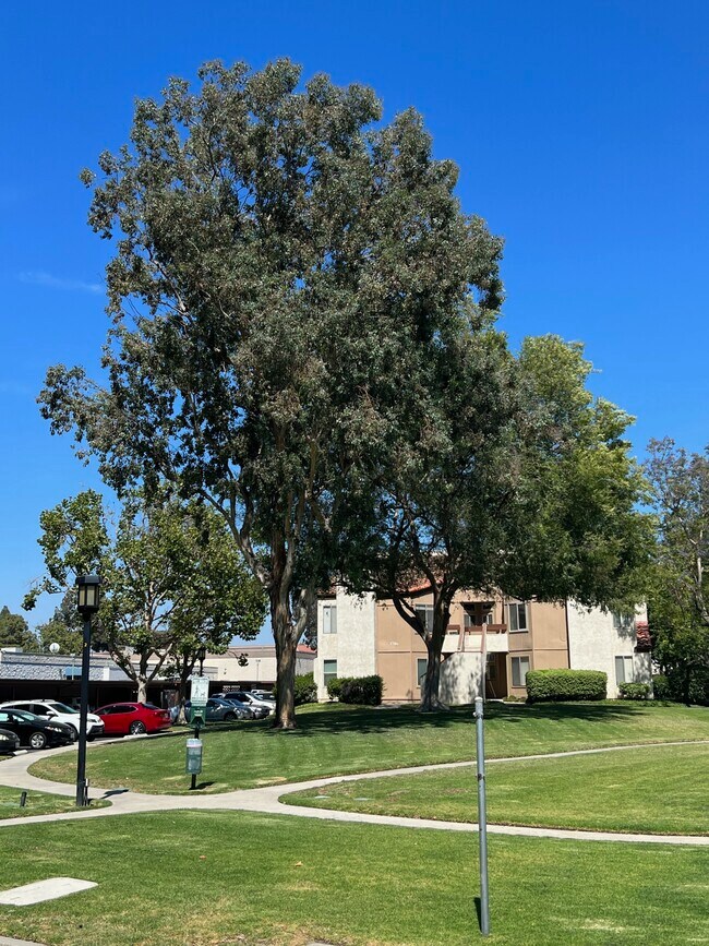 Building Photo - 1706 Sinaloa Rd