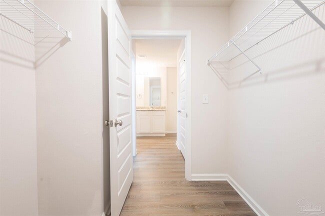 Building Photo - 4119 Whitetail Ln