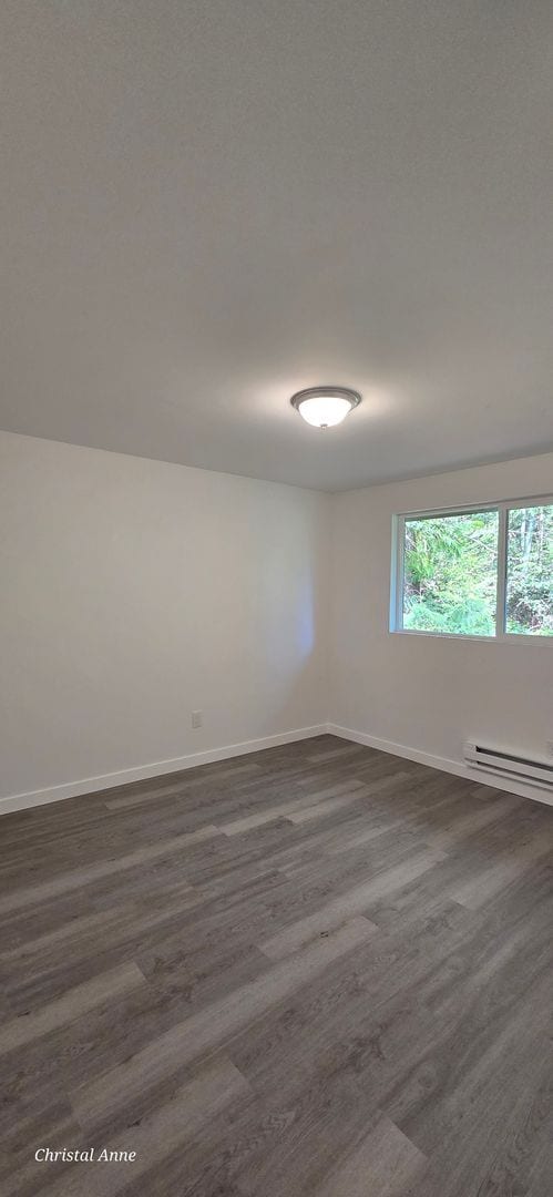 Building Photo - Fully Remodeled 3 bedroom in Grapeview