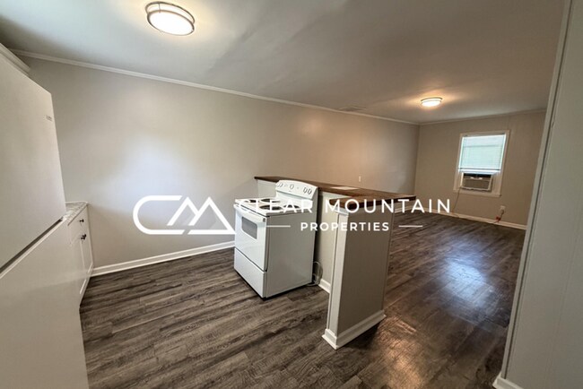 Building Photo - Renovated 2-Bedroom Apartment Just 1 Mile from Downtown Greer!