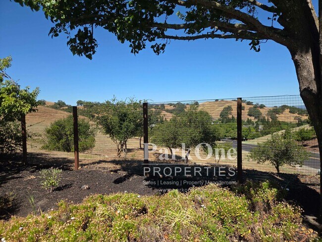 Building Photo - Amazing One of a Kind Home in the Heart of Danville with Pool & Views!