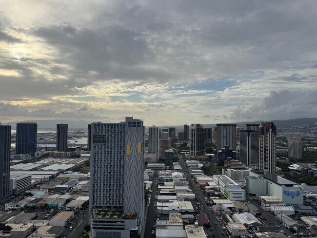 Building Photo - Aalii - High Floor Fully Furnished One Bed...