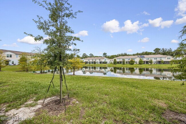 Building Photo - 61 Playa De Luna Ln