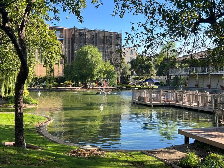 Pond - 310 N Civic Dr