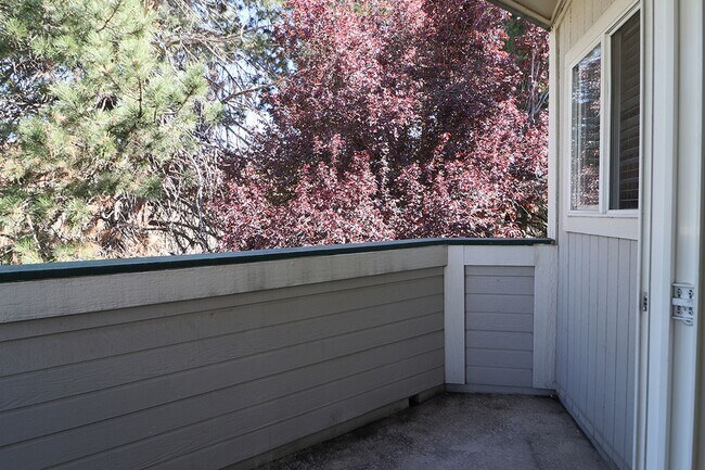 Building Photo - 2659 Sycamore Glen Dr