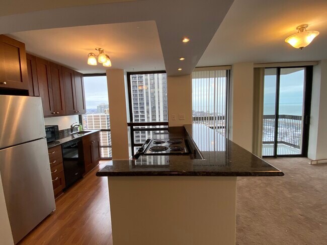 Building Photo - 1660 N La Salle Dr