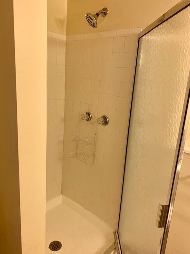 Building Photo - STUDENTS WELCOME! 3-Bed / 2-Bath Home 2 Miles from CSU