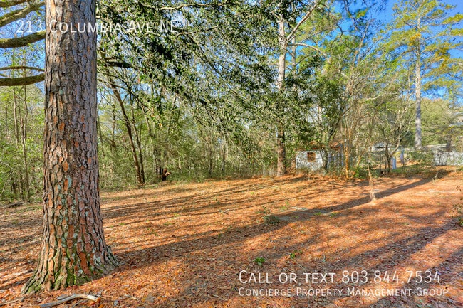 Building Photo - 213 Columbia Ave NE