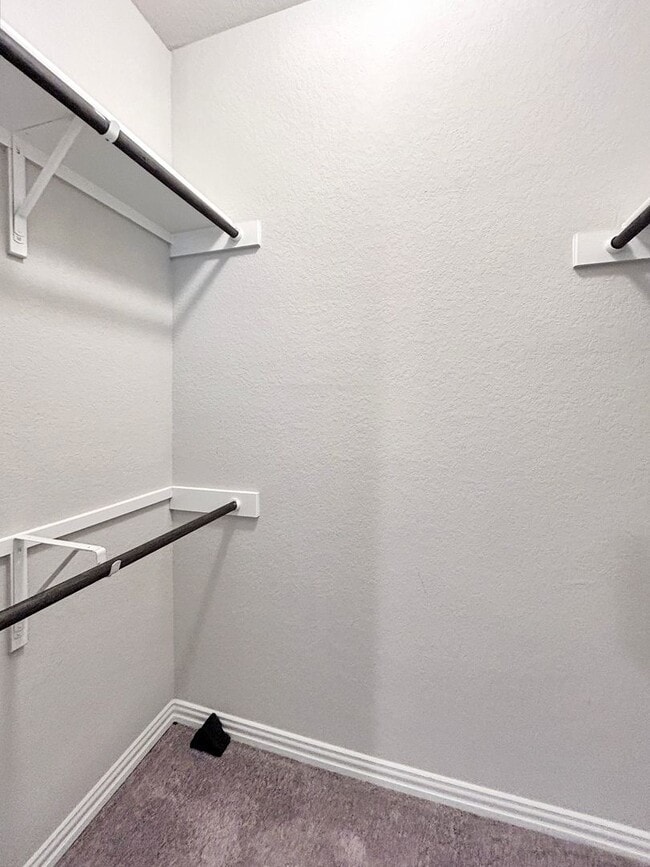 Building Photo - Schertz Stunner Near The Forum & Randolph AFB | Screened Porch + Game Room