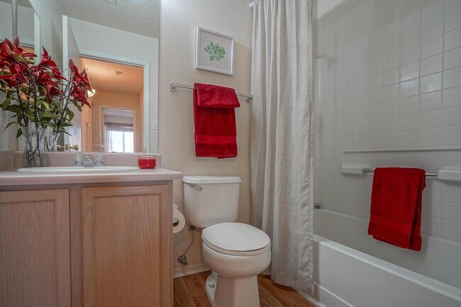 Building Photo - 3146 Chama Meadows Dr NE