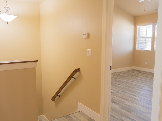 Building Photo - 1532 N Venetian Way