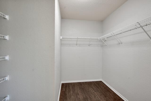 Building Photo - 1225 Cardigan St