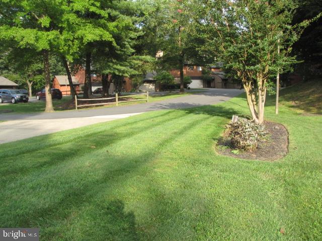 Building Photo - 2576 Tree House Dr