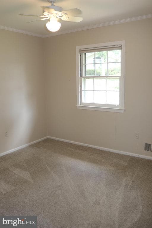 Building Photo - 8634 Aberdeen Ct