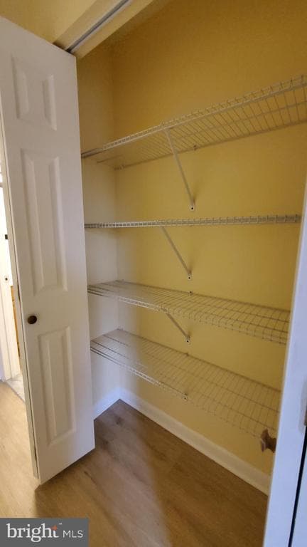 Building Photo - 8854 Spiral Cut