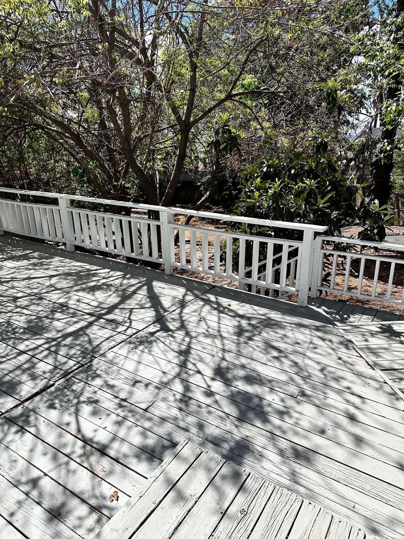 Building Photo - 2415 Mercedes Ave