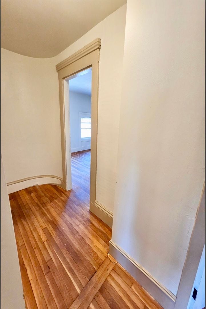 Building Photo - 123 Elmwood Ave