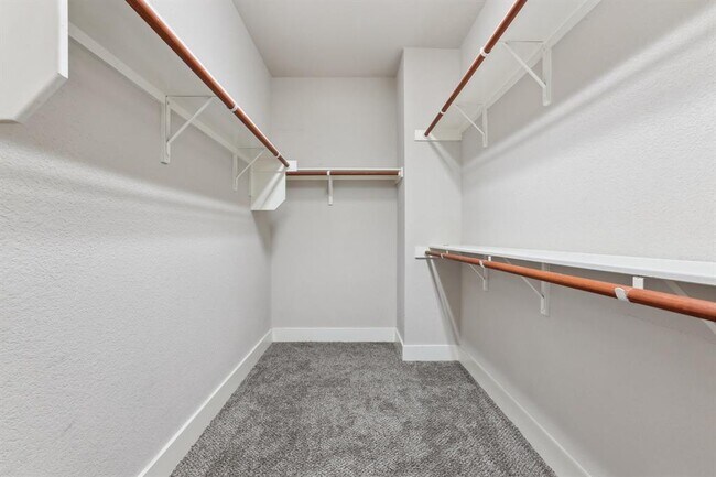Building Photo - 2930 Grand Oaks Loop