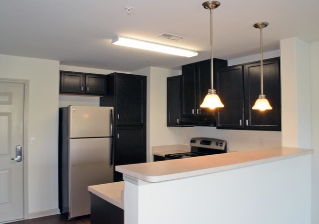 Kitchen - The Dannelly at the Catawba Senior Apartments