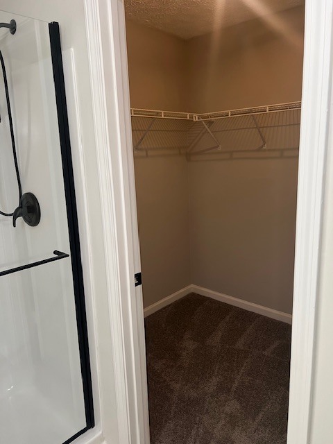 Building Photo - 5895 Terremont Cir