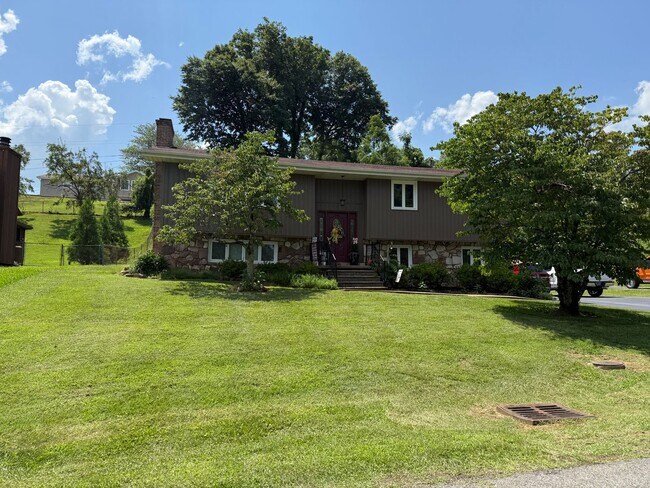 Building Photo - 3-4 bedroom / 2 bath split foyer  Kingspor...