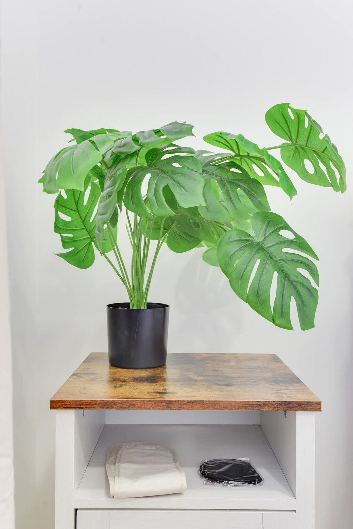 Building Photo - 1255 Raum St NE