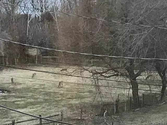 Building Photo - 48 Buckwalter Rd