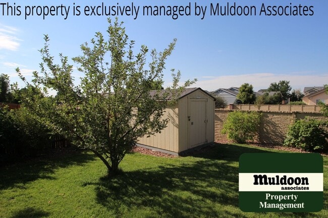 Building Photo - Coming soon! Gorgeous ranch style home in Soaring Eagles