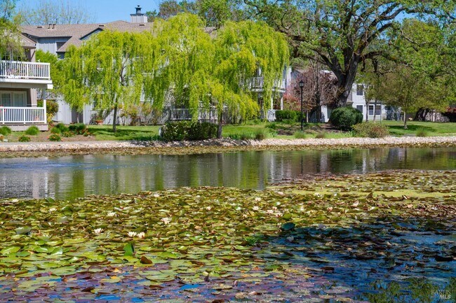 Building Photo - 1100 Princeton Dr