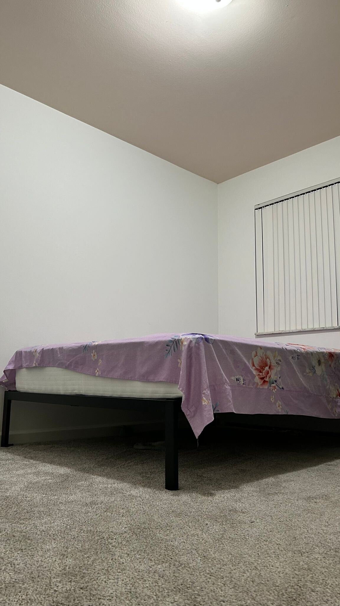 Building Photo - 1968 Axtell Dr