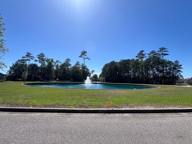 Building Photo - Large 3BR, 2BA in Windsor Plantation